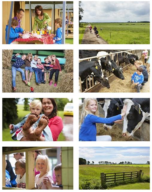 FarmCamps De Geele Bosch Bilder