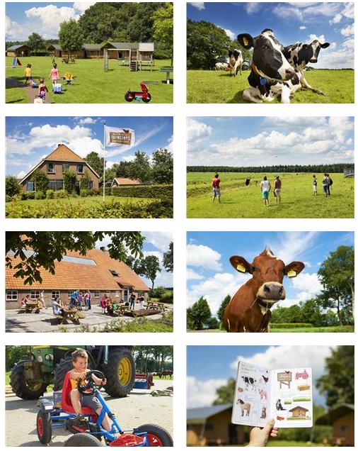 FarmCamps Hoeve Sonneclaer Bilder