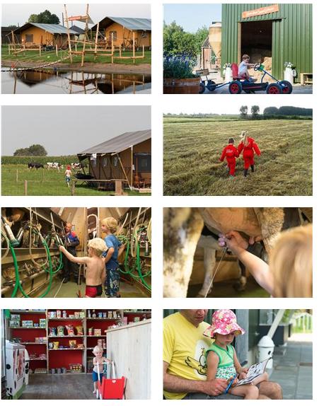 FarmCamps Stolkse Weide Bilder