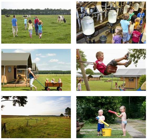 FarmCamps t Looveld Bilder