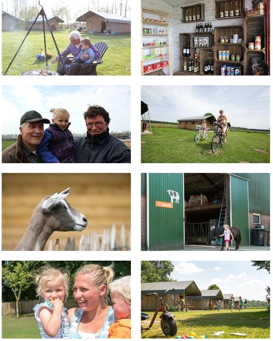 FarmCamps t Looveld Bilder