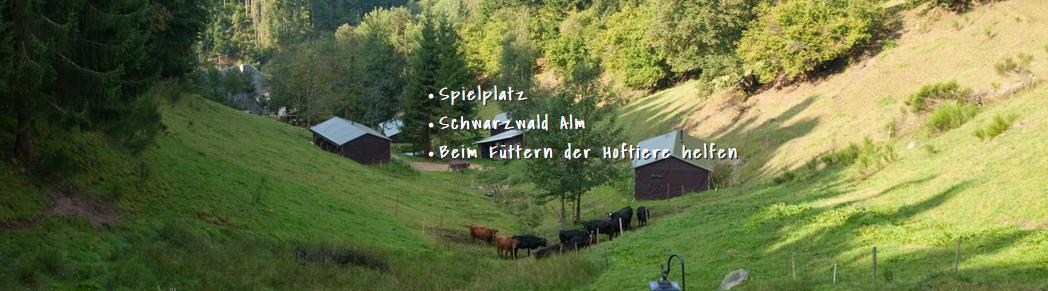 Wiesenbett Hilserhof 
