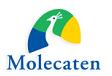 Molecaten