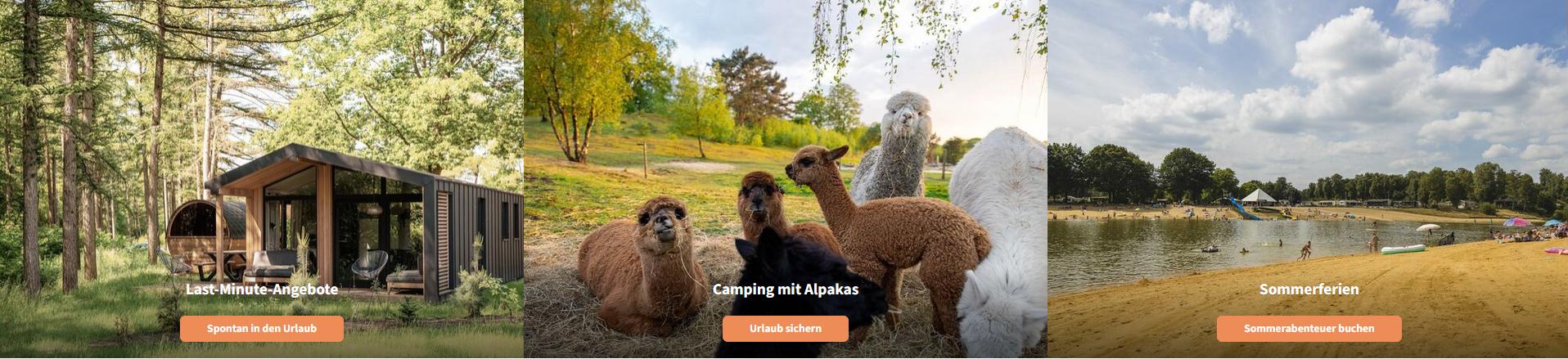 Wilsumer Berge Camping Wilsumer Berge Camping